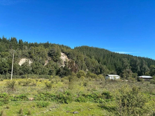 Sector Rural Precordillerano De Linares (169190)