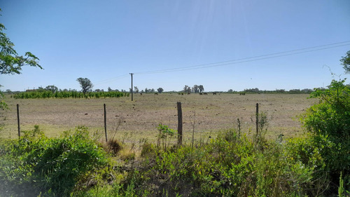 Campo 230 Has En Bella Italia