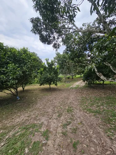 Finca En La Mesa Cundinamarca- San Joaquin