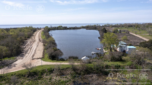 Lote En Venta En Puerto Nizuc - Oportunidad De Inversión En Guillermo Hudson