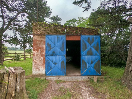 Chacra En La Pataia, Punta Ballena