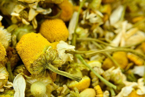 Manzanilla Flor Egipto 250 Gramos