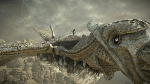 Shadow Of The Colossus Remake Standard Edition Ps4 Físico (Usado)