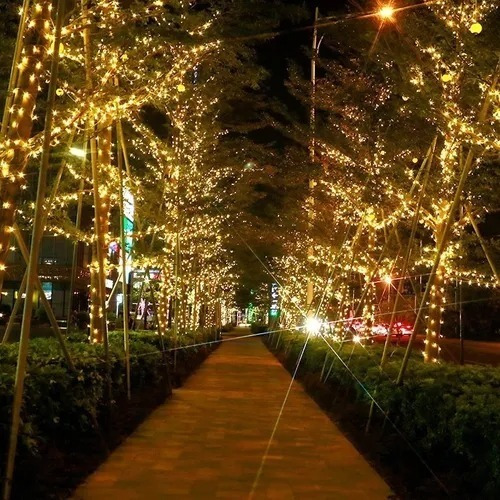 Imagen 4 de 7 de Guirnalda De Luces 300 Led Calidas Boda Matrimonio 22m
