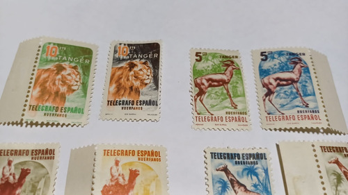 12 Sello Huerfanos Tanger Telegrafo Español Fauna Estampilla