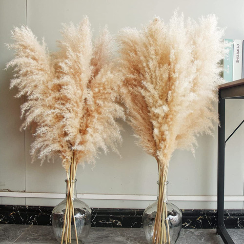 40 Pulgadas 10 Tallos Natural Pampas Grass Decor Alto, ...