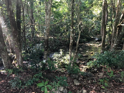 Terreno De 190 Hectáreas Cerca De Palenque