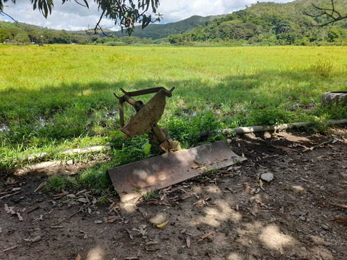 Imagen 20 de 30 de Finca En Guigue, 35 Hectareas. 5610462