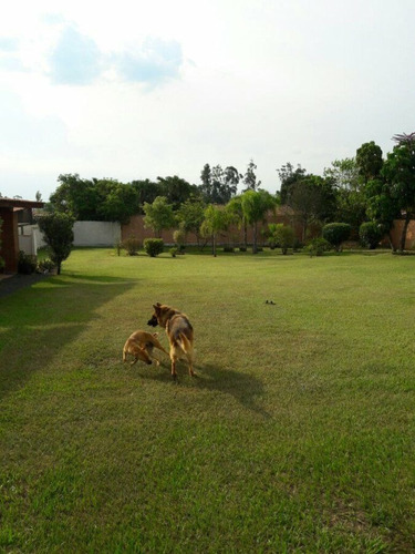 Imagem 27 de 28 de Chacara-para-venda-em-loteamento-chacaras-vale-das-garcas-campinas-sp - Ch0024