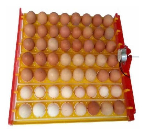 Bandeja De Rotación De  56 Huevos