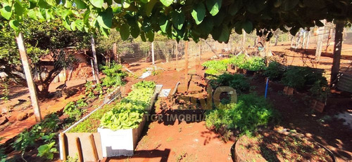 Imagem 11 de 30 de Venda Sítio/fazenda No Bairro São Salvador - R142925