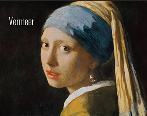 Libro Vermeer