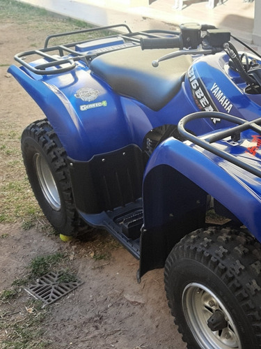 Imagen 9 de 12 de Yamaha 250 Big Bear/permuto Solo Por Raptor 250 Mismo Estad