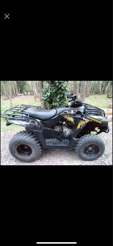 Imagen 10 de 12 de Kawasaki Brute Force 300