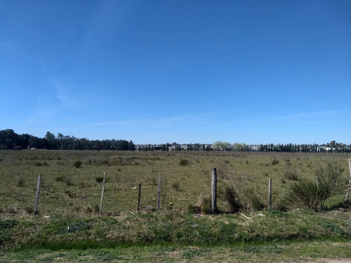 Imagen 4 de 5 de Venta De Lote En City Bell, La Plata.