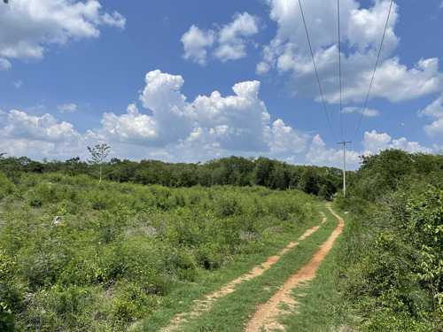Venta De Finca De 103 Hectáreas A 24 Km De Mérida