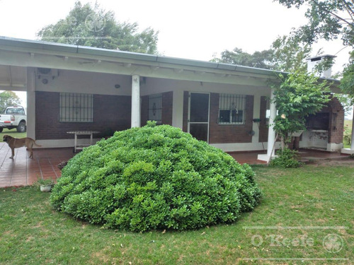 Imagen 14 de 22 de Campo Mixto En Venta En Chivilcoy 60 % Agrícola - Armado