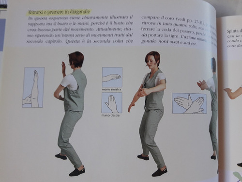Imagen 5 de 8 de Il Manuale Del Tai Chi Robert Parry Vallardi I. G. Italiano