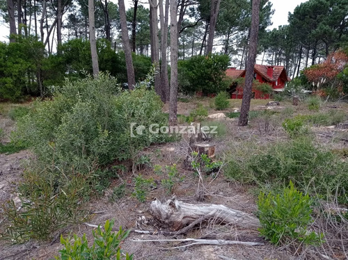 Terreno En Chihuahua.