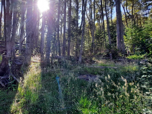 Imagen 2 de 22 de Venta Lote 1700 M2 En Bosque Villa La Angostura