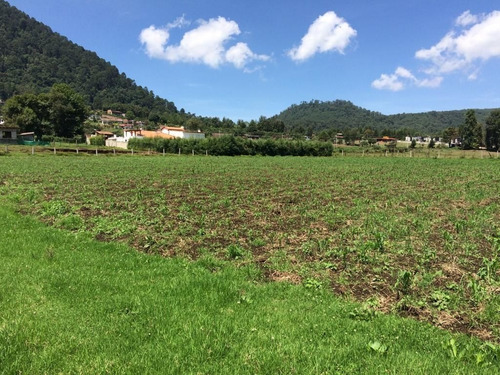 Imagen 11 de 12 de Terreno En Venta
