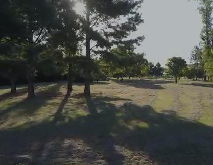 Imagen 3 de 11 de Terreno - Nuevo Torino