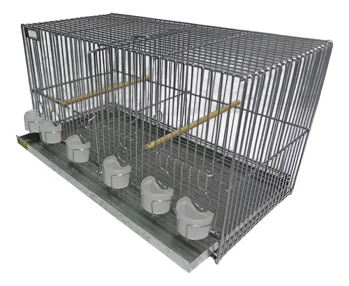 Jaulas Lopardo De Cria 53cm. 6 Vasos Y División De Alambre