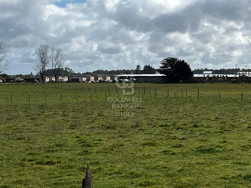 Parcela Puerto Octay Circuito Lago Llanquihue