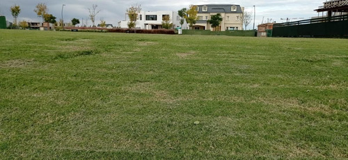 Imagen 3 de 8 de Venta Espectacular Lote Al Lago Central De Nordelta. Barrio Virazòn.