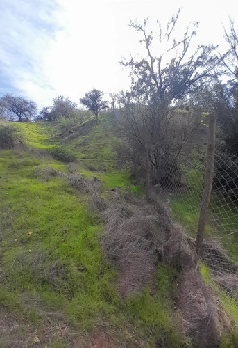 Cajon De Lebu - Se Vende Linda Parcela De 5000 M2