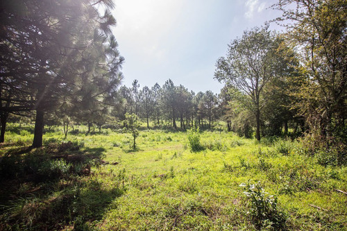 Terreno En Venta En Real De Encinos, Tapalpa, Jalisco.
