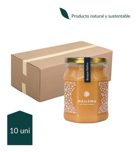 Pack 10 Un. Miel Pura Abejas Bosque Nativo 500g. Sur - Chile