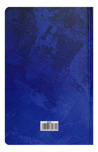Bíblia Bilíngue Português E Inglês - Nvi- Letra Normal - Capa Dura Azul, De Vários Autores., Vol. 1. Editorial Cpp, Capa Dura Em Português/inglês, 2023