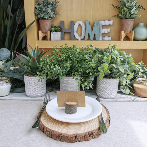 Plantas Artificiales Eucalipto Boj Y Aloe En Maceta Gris Verde