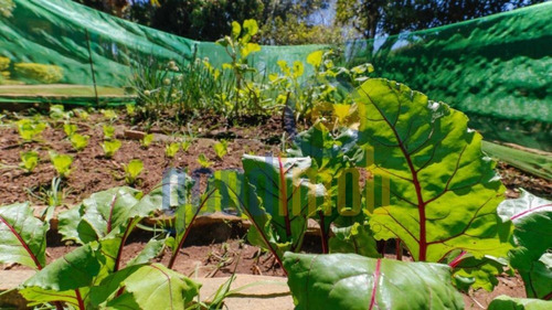 Imagem 23 de 27 de Casa Locação Condomínio Porto De Ibiúna, Ibiúna - Sp - Ca0035