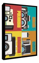 Comprar Cuadro De Camaras Fotograficas - Decoracion - Personalizados