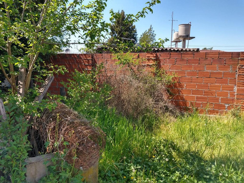 Imagen 8 de 8 de Casa - Virrey Del Pino