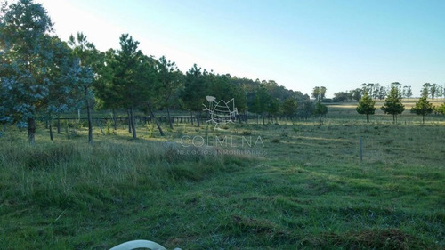 Imagen 2 de 9 de Chacra En Las Garzas A Pocos Km Del Mar. - Las Garzas