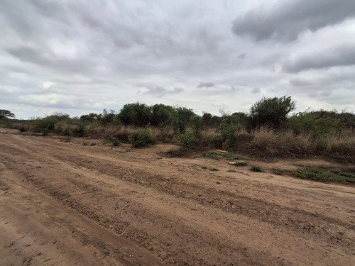 Venta Campo 10 Has Ruta 36 Piedras Blancas Cordoba