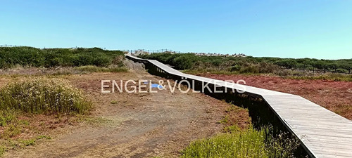Excelente Terreno Con Anteproyecto De Arquitectura