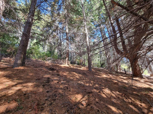 Imagen 8 de 29 de Terreno Lote En Venta Ubicado En Villa Campanario, Bariloche, Patagonia