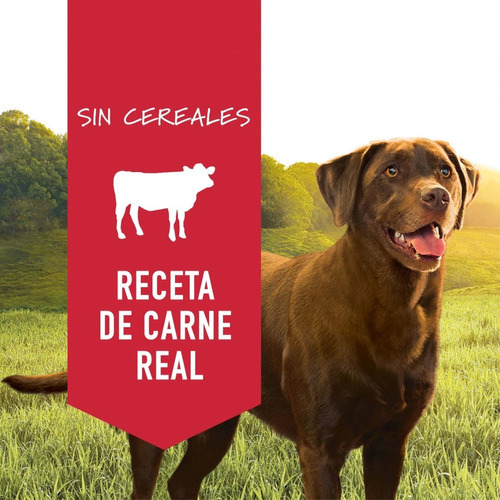 Alimento Húmedo Instinct Lata De Res 13.2 Oz