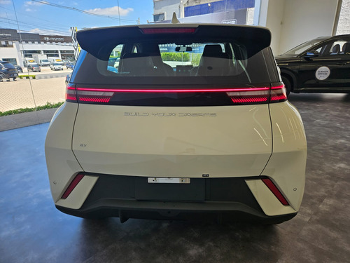 Dolphin Mini Ev
