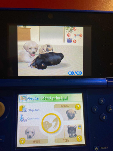 Nintendogs Labrador & Friends Nintendo Ds Oldskull Games (Usado)