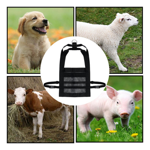 Balança De Bezerro Para Pesagem De Animais Balança 60x40cm