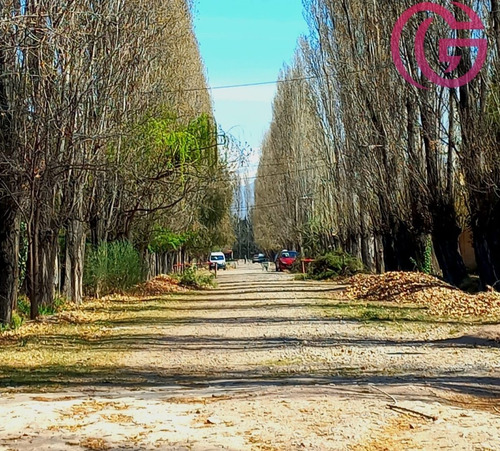 Imagen 1 de 12 de Greenwood Inmobiliaria Vende Ultimo Lote Disponible En Barrio Rincon Cepas De Malbec - Vistalba