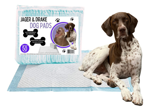 50 Tapetes Entrenador Desechable Pañal Para Perro + Regalo