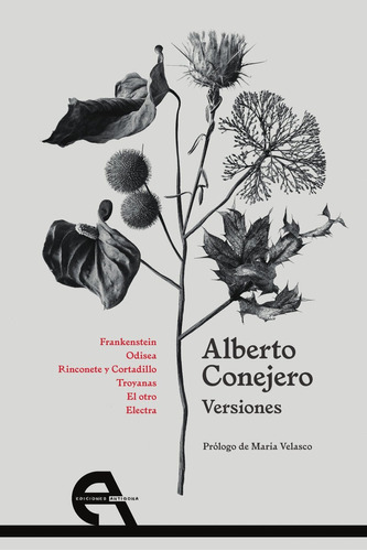 Versiones, De Ejero, Alberto. Editorial Ediciones Antígona, S. L., Tapa Blanda En Español