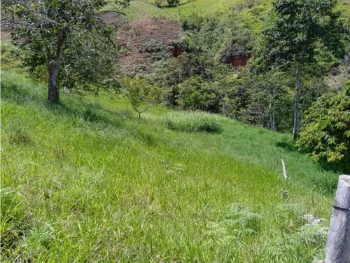 Venta Finca De 86.400m2 En Restrepo, Sector Monterredondo Alto 7301.
