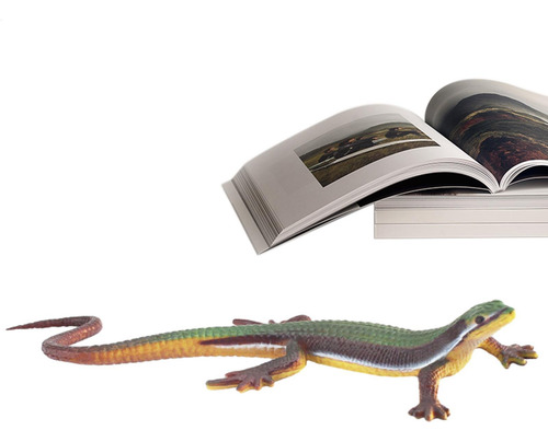 Juguetes De Lagarto Para Niños Modelos De Lagartos Reptiles